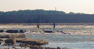 Cast Net Fishing